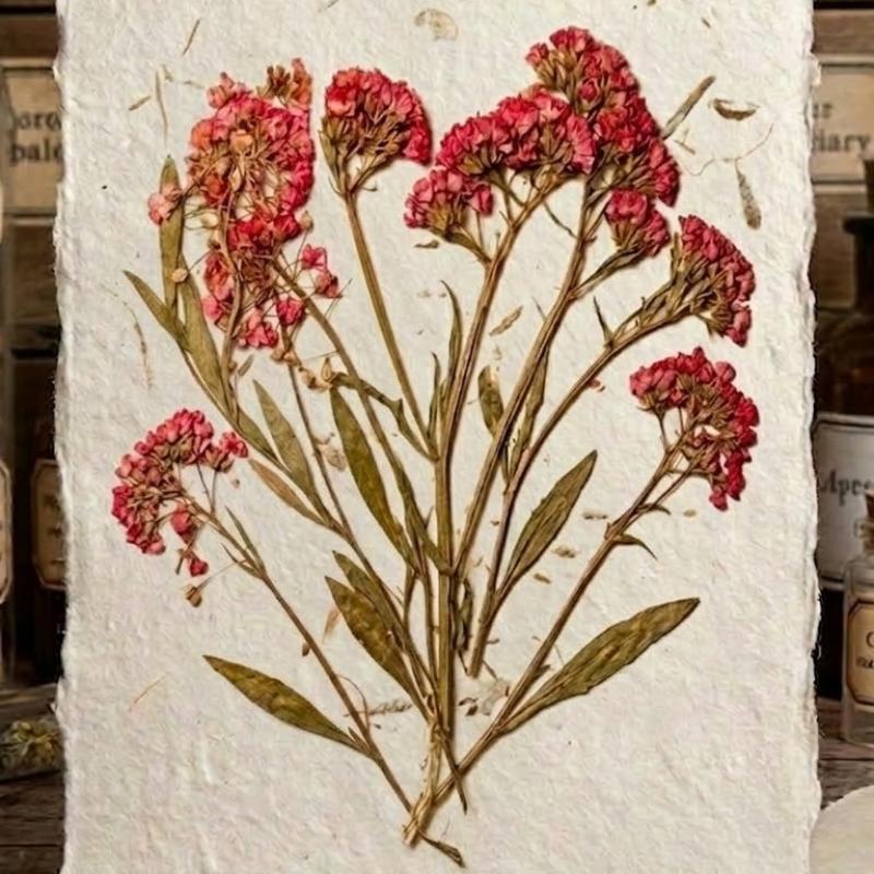 Dried Pressed Flowers and Leaves for Resin and Crafts